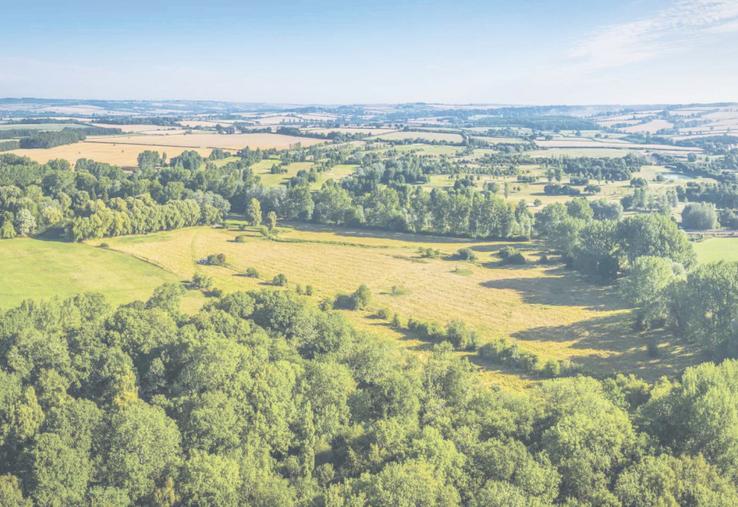 En 2025, le prix des terres agricoles atteint un niveau record, porté par la hausse des grandes cultures malgré le recul de certains secteurs d'élevage.