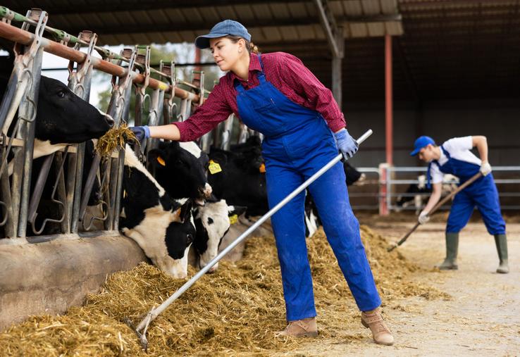 L'accueil de stagiaires et d'apprentis est un levier essentiel pour assurer le renouvellement des générations en agriculture, transmettre les savoir-faire et former les professionnels de demain.