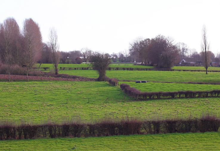 La Chambre d’agriculture de Normandie, le GIEE Adan et la Cuma Haies’nergie & Territoires présenteront les atouts des haies bocagères.