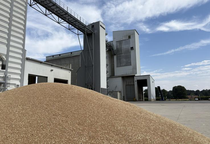 Cette année, les responsables des silos ont un gros travail d'allotement et de surveillance des tas en raison des manques de maturité.