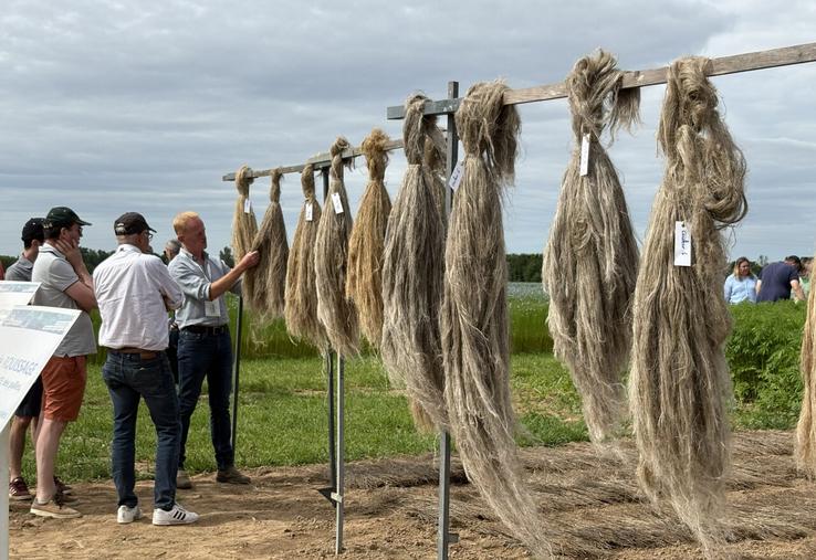 Un salon de filière pour produire du lin européen certifié en quantité et en qualité.
