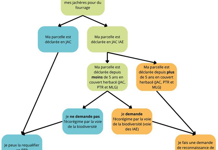 Logigramme des procédures possibles pour la valorisation des jachères pour l'été 2026.