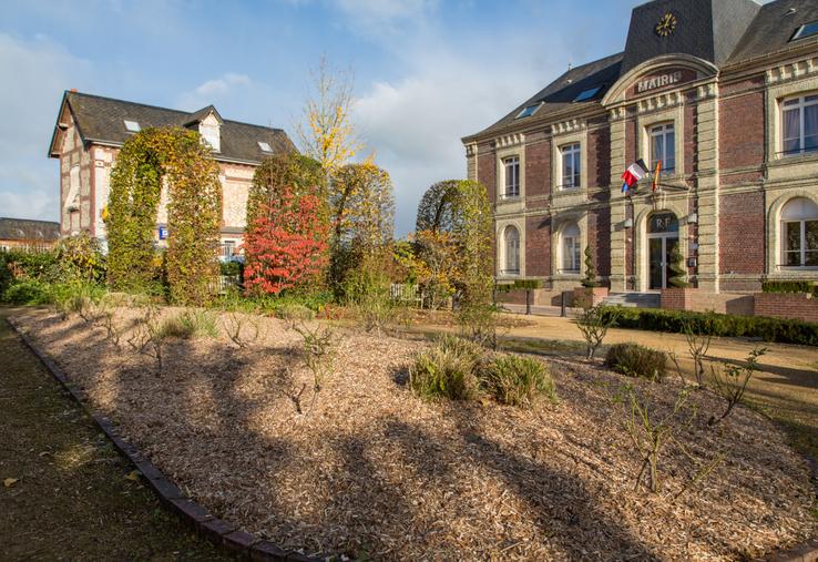 Un massif arbustif paillé avec du miscanthus dans une commune de Seine-Maritime.