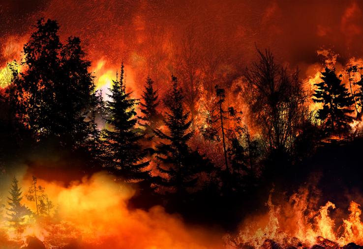 Du jamais vu en Gironde, les feux ont parcouru jusqu'à 42 000 hectares ce lundi.