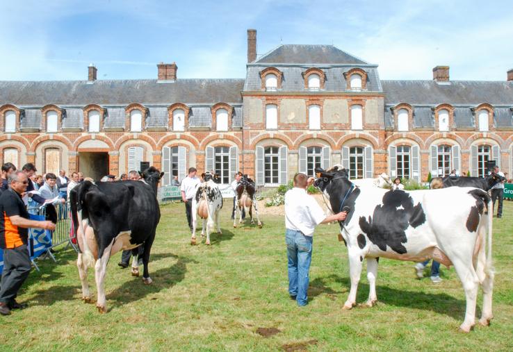 L'élevage fait partie intégrante du Perche eurélien. En 2013, le comice agricole s'est tenu à La Ferté-Vidame. Quoi de plus naturel d'exposer les plus beaux sujets devant le patrimoine du village...