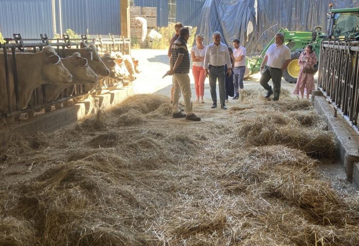 Constat de la nécessité d'affourager les animaux.