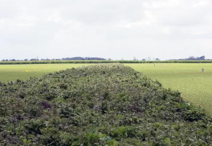 À la recherche d'économies, des producteurs s'interrogent sur l'intérêt de mettre une partie plus ou moins importante de leur surface en jachère. Cette stratégie permet effectivement de réduire les charges d'approvisionnement mais permet-elle d'améliorer la rentabilité de l'atelier grandes cultures ? 