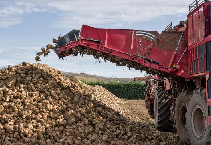 La CGB qualifie de « bonne nouvelle » la validation de l'usage de la flupyradifurone en enrobage de semences. « Cette avancée corrige une distorsion de concurrence avec les 16 autres pays producteurs européens utilisant déjà cette solution ».
