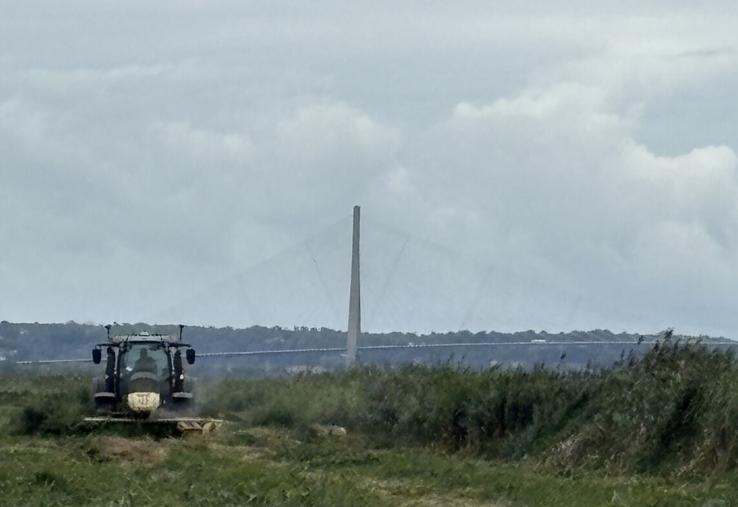 Sur 22 ha de roselière, les opérations de broyage, de fauche et de pose des clôtures préparent la mise en place d'une extension de pâturage extensif dans la réserve naturelle de l'estuaire de la Seine.