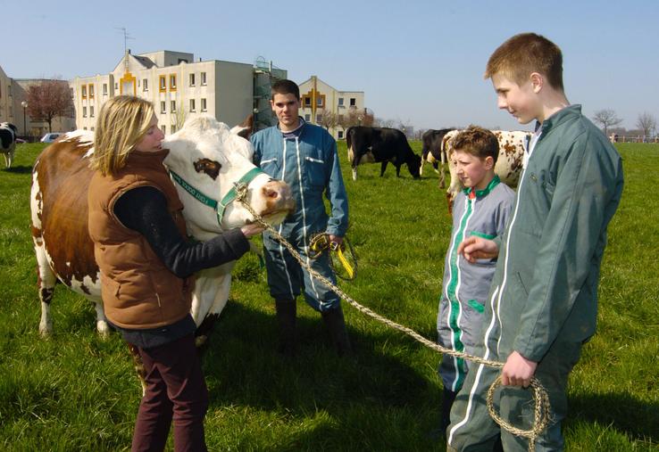 L'enseignement agricole a connu une progression  de ses effectifs de 7 % en cinq ans.