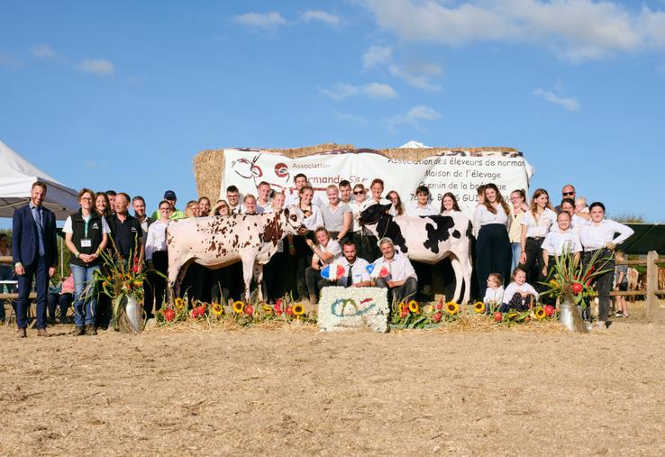 Alfa Romeo, championne normande de l'EARL Delamare, et Ballerine, championne prim'holstein du Gaec de la ferme du Chêne.