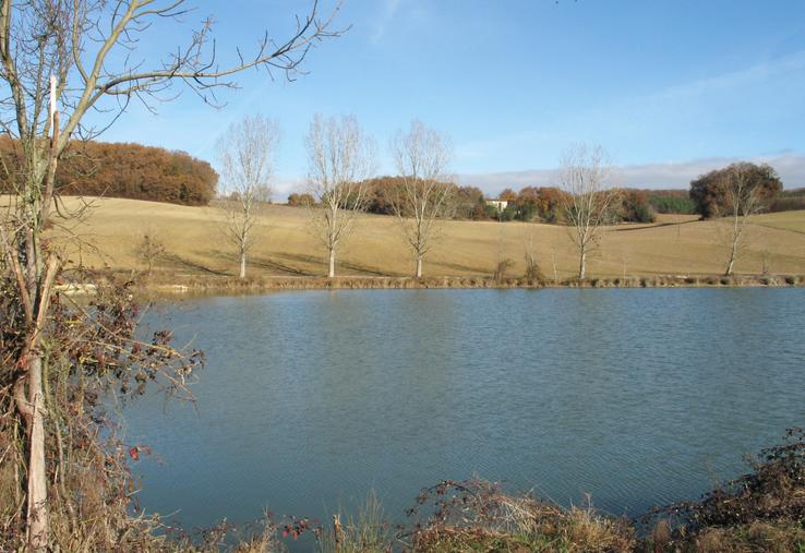 Les retenues d'eau attirent faune et flore.