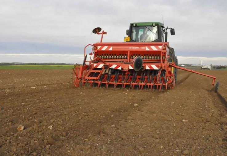 En décalant le semis à la fin octobre ou à début novembre, il est possible de réduire la pression graminée de 50 à 80 % environ selon les conditions.