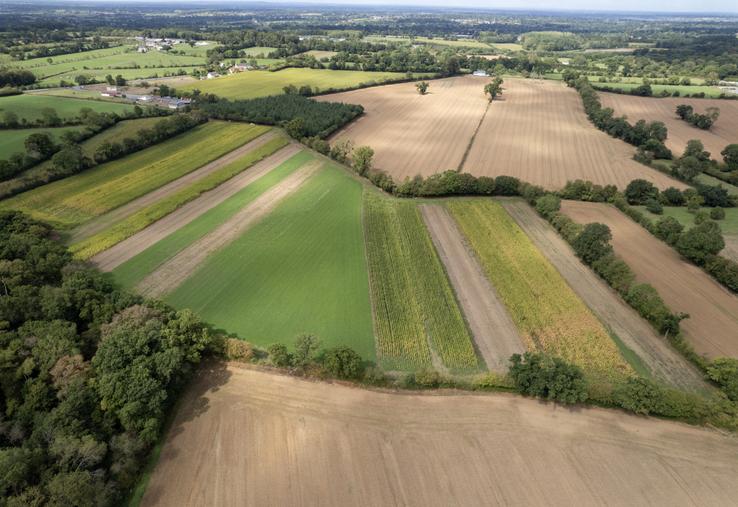 La plateforme d'essai de La Blanche Maison peut être visitée à la demande par des groupes d'agriculteurs, des conseillers ou des apprenants.