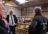 La Région Normandie ambitionne, avec son plan de "normandisation" des cheptels et de soutien à la race normande, une augmentation minimale de 10 % de la proportion de vaches normandes dans le troupeau.