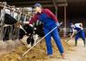 L'accueil de stagiaires et d'apprentis est un levier essentiel pour assurer le renouvellement des générations en agriculture, transmettre les savoir-faire et former les professionnels de demain.
