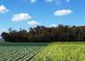 Avec le réseau Rés0Pest, l'Inrae a expérimenté pendant dix ans des systèmes agricoles sans aucun pesticide.