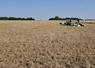 Au 20 juillet, les prairies sont fortement touchées par la sécheresse. Les éleveurs s'inquiètent pour les fourrages à venir.