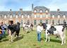 L'élevage fait partie intégrante du Perche eurélien. En 2013, le comice agricole s'est tenu à La Ferté-Vidame. Quoi de plus naturel d'exposer les plus beaux sujets devant le patrimoine du village...
