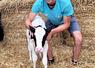 « Une vache, c’est comme un sportif : il faut qu’elle soit bien dans son corps et bien nourrie pour donner le meilleur d’elle-même. »