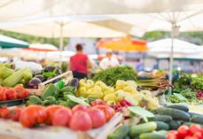 Producteur sur maché.