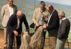 ComLin (Agylin, Coopérative du Neubourg et Terre de Lin) classe près de 5 000 lots par an. Ce classement permet de segmenter la production selon 6 critères : nature, couleur, force, finesse, homogénéité et longueur. Ici un échantillon de lin d'hiver à qui les experts ont donné une excellente note.