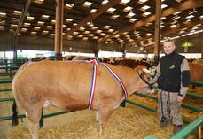 Archive 2018. Le Gaec Saget à Canehan a remporté le prix de la super championne avec sa parthenaise ainsi que le prix du syndicat de la boucherie cette année-là.