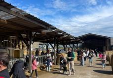 Chasse aux œufs organisée par les JA de Seine-Maritime (archive).