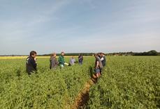 Visite des parcelles du projet avec les agriculteurs et les conseillers.
