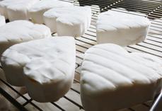 Les fromages au lait cru, premiers contributeurs du microbiote grâce à leur richesse microbienne.