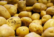 Pour le producteur, le nerf de la guerre est la signature d’un contrat qui le sécurise.