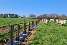 Essai "Essence d'avenir" à la ferme expérimentale de la Blanche-Maison dans la Manche (plantation en mars 2026).