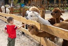 Diverses animations sont prévues lors de ce printemps à la ferme et concernent tous les publics.