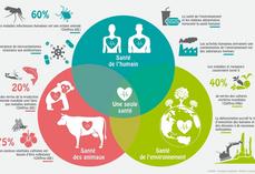 "Une seule santé", une approche qui met en évidence les liens entre humains,  animaux et environnement.