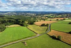 Après une année noire en 2024, l'agriculture française retrouve des couleurs en 2025, malgré des disparités persistantes.