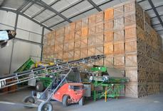 Hall de stockage des palox, du matériel de récolte et de tri.