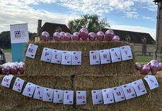 La MSA a organisé de nombreuses actions de sensibilisation durant Octobre rose.