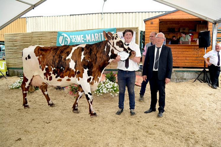 A Forges-les-Eaux, le week-end dernier, concours de races Prim'Holstein et Normandes et présentation des races allaitantes ont intéressé un public venu en nombre. Retour en images.