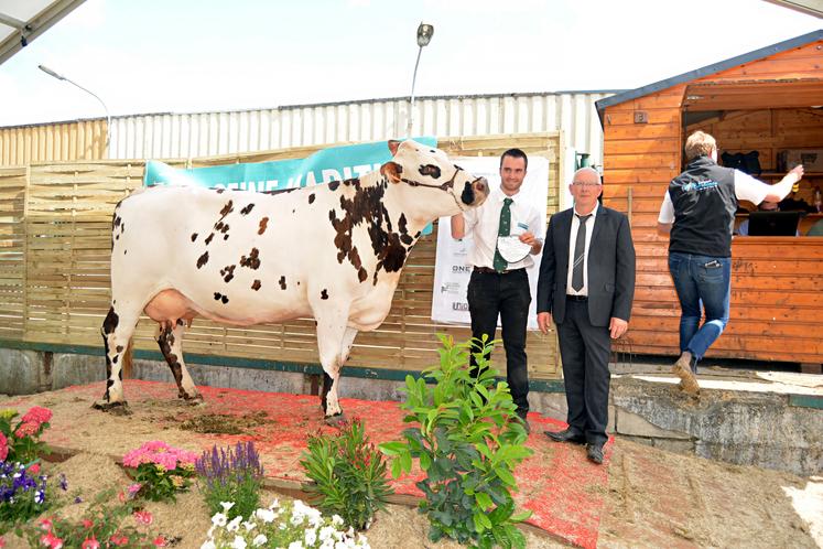 A Forges-les-Eaux, le week-end dernier, concours de races Prim'Holstein et Normandes et présentation des races allaitantes ont intéressé un public venu en nombre. Retour en images.