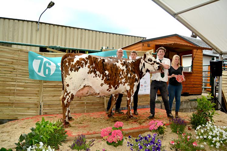 A Forges-les-Eaux, le week-end dernier, concours de races Prim'Holstein et Normandes et présentation des races allaitantes ont intéressé un public venu en nombre. Retour en images.