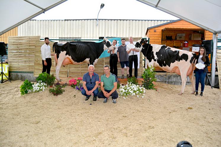 A Forges-les-Eaux, le week-end dernier, concours de races Prim'Holstein et Normandes et présentation des races allaitantes ont intéressé un public venu en nombre. Retour en images.