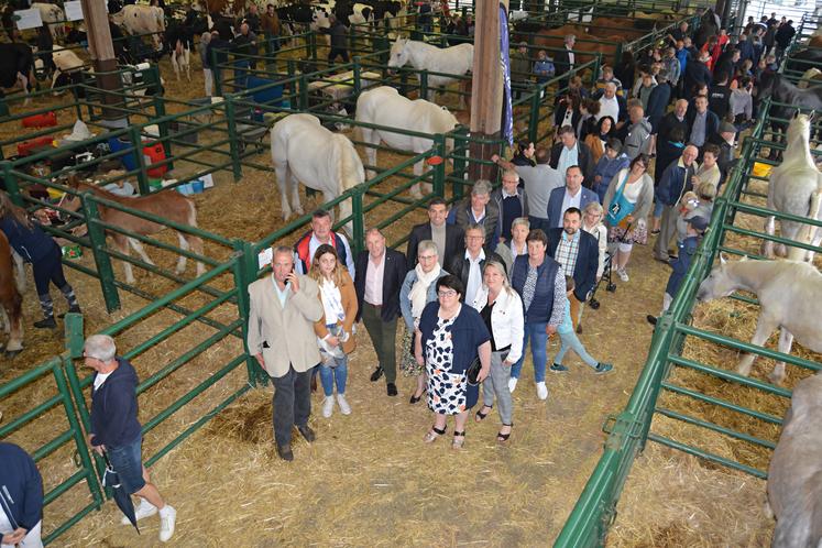 A Forges-les-Eaux, le week-end dernier, concours de races Prim'Holstein et Normandes et présentation des races allaitantes ont intéressé un public venu en nombre. Retour en images.