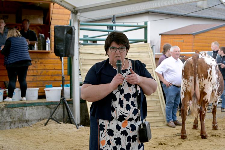 A Forges-les-Eaux, le week-end dernier, concours de races Prim'Holstein et Normandes et présentation des races allaitantes ont intéressé un public venu en nombre. Retour en images.