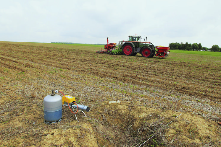 Avec les semis de maïs en cours, et en prévision d’éventuelles attaques par des corvidés, bref rappel de la réglementation concernant l’utilisation des effaroucheurs sonores.