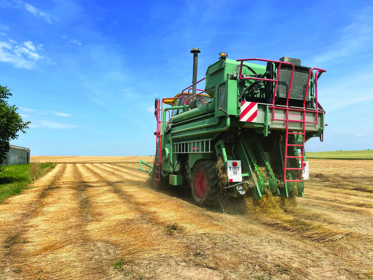 Du soleil, peu de vent et un faible taux d’humidité, les conditions étaient idéales  ces deux dernières semaines pour débuter le travail d’écapsulage du lin.