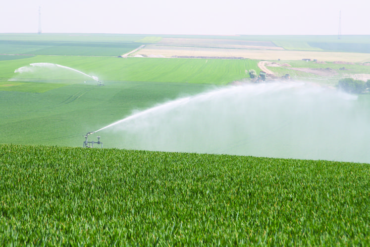 Dans le département de la Seine-Maritime, le besoin d’irrigation est récent et grandissant. Un outil d’aide à la décision (OAD), Net-Irrig, permet une gestion économe de l’eau pour optimiser l’irrigation des cultures. 