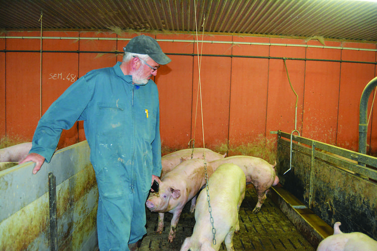 L'éleveur Stéphane Savalle, éleveur porcin à Beuzevillette.