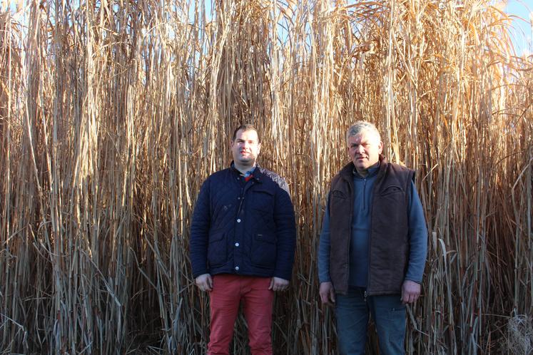 Charles Van Moorleghem et son fils Éric cultivent, à Frétoy-le-Château (Oise), une culture assez atypique,  du miscanthus. Cette plante à tout faire ouvre de nombreux débouchés.