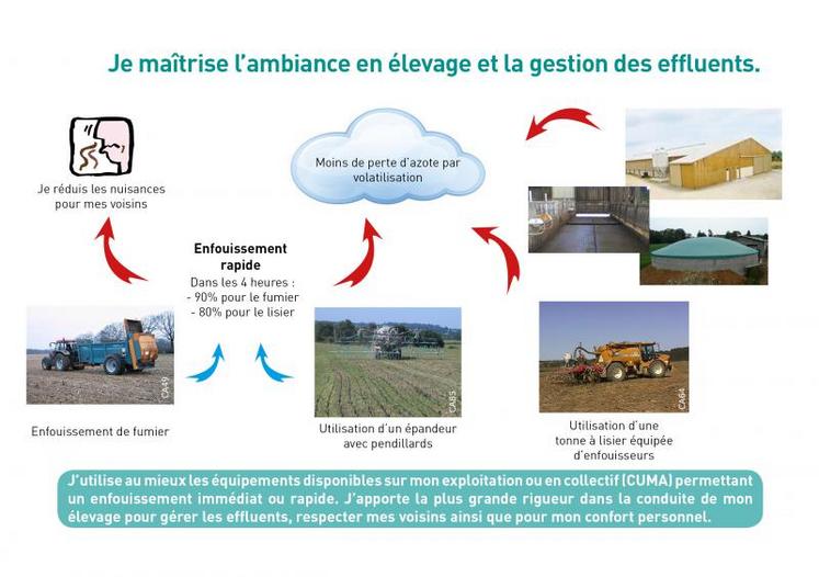 Blé, enjeux et perspectives - A2C le site de l'agriculture de