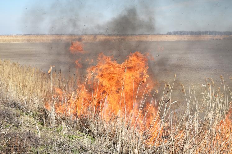 Champ en feu